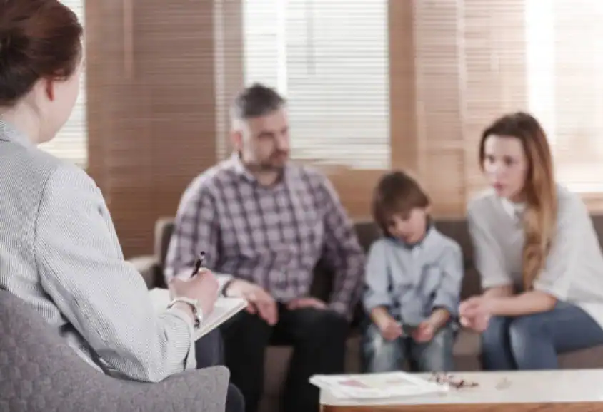 Child Custody and Relocation in International Family Disputes Fleet